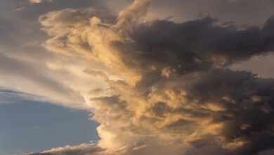 Reunión del Consejo de Expertos sobre El Niño en Córdoba