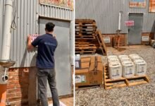 Operativo de allanamiento en depósito de productos fitosanitarios en Pozo del Molle