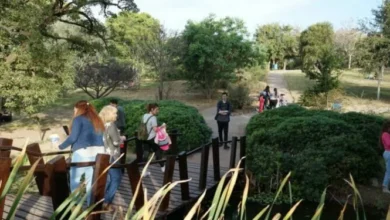 Vista panorámica del Jardín Botánico de Córdoba con sus áreas verdes y visitantes disfrutando de la naturaleza