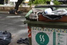 Camiones de la municipalidad de Córdoba recogiendo basura en el centro de la ciudad