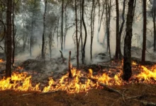 Mapa del nivel de peligro de incendios forestales en la provincia de Córdoba para el 2 de octubre