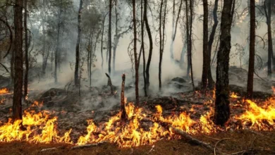 Mapa del nivel de peligro de incendios forestales en la provincia de Córdoba para el 2 de octubre