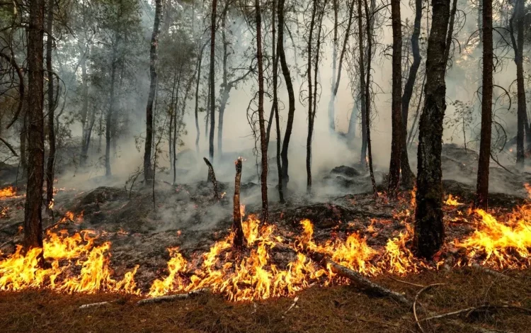 Mapa del nivel de peligro de incendios forestales en la provincia de Córdoba para el 2 de octubre